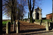 14 Il viale alberato visto dal paese di Mapello